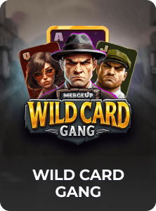 wild card gang